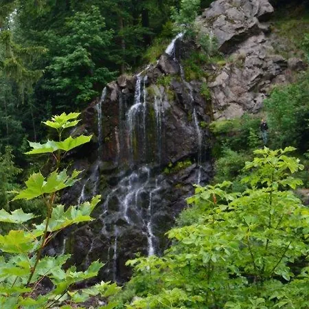 Jaktstuga Gaesthaus
