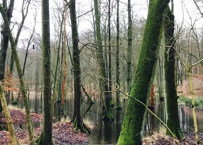 Gaesthaus Lodge Eilenstedt