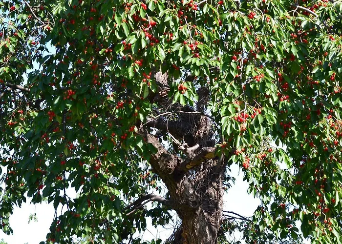 Gaesthaus * Eilenstedt